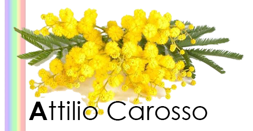 8marzo-attilio-carosso