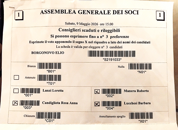 mio voto