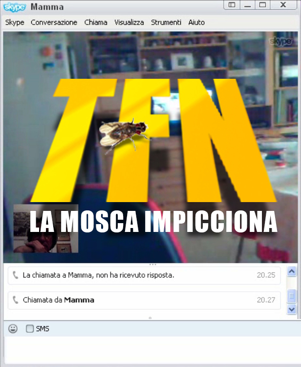 mosca-impicciona004