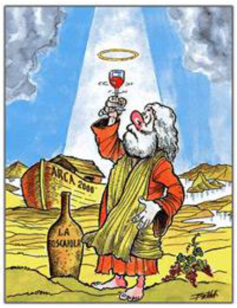 vino-immagine