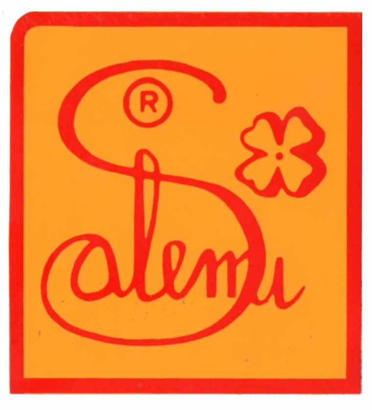 logo-salemi